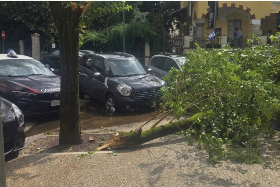 Medicati sul posto