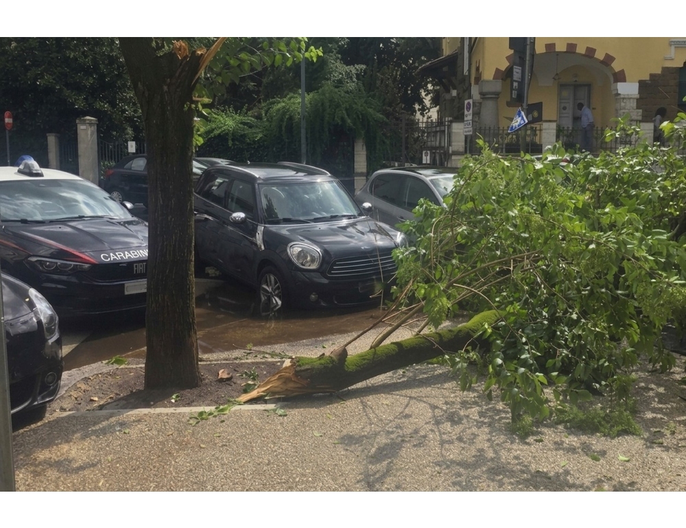 Cade ramo, feriti tre studenti che uscivano da scuola a Roma