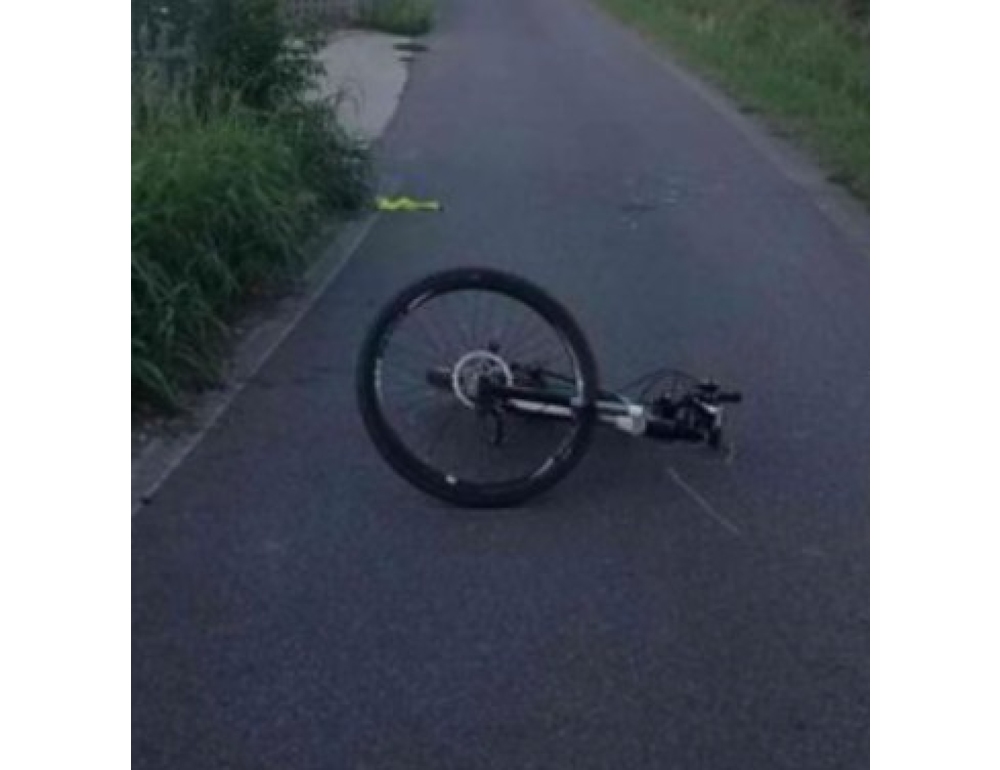 Ciclista trovato ferito a terra, il ‘pirata della strada’ era un cinghiale