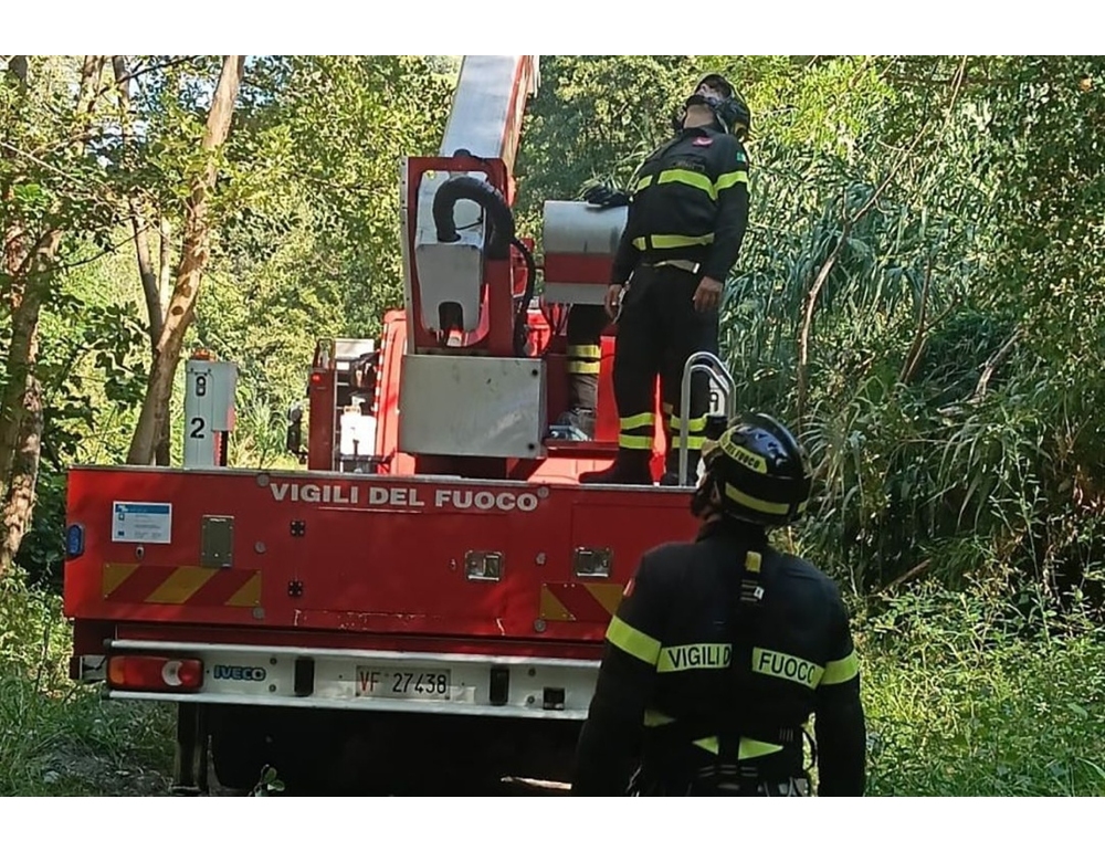 Finisce su un albero con il parapendio, soccorso dai Vigili del fuoco