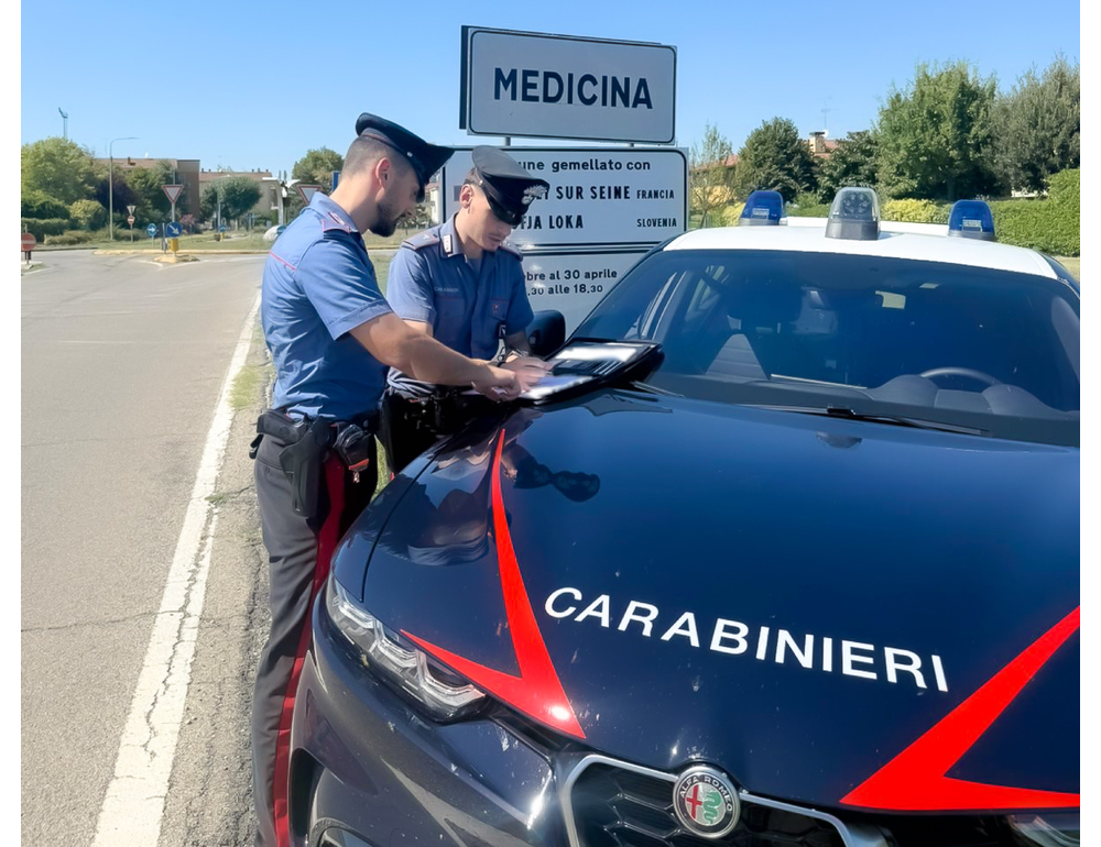 Giardiniere ferito in un incidente sul lavoro nel Bolognese