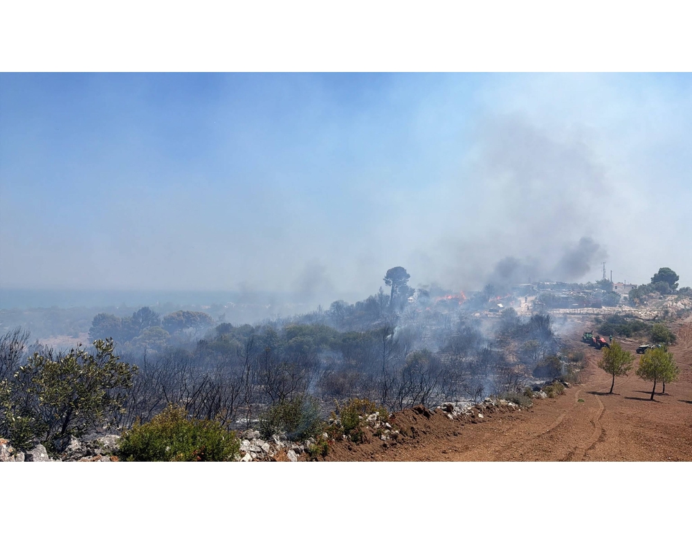 Incendi nel Gargano, arrestato un volontario di protezione civile 35enne