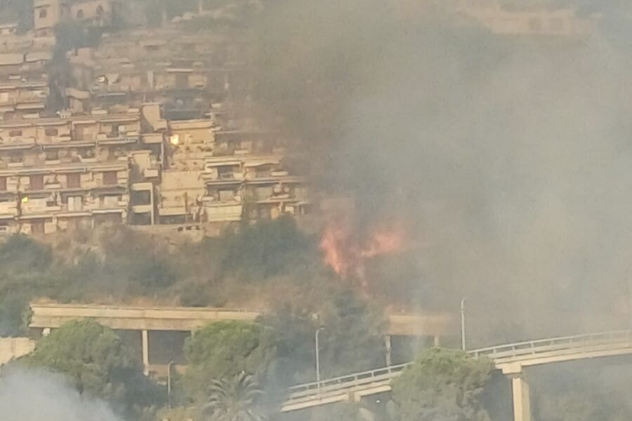 Sul posto vigili del fuoco e polizia locale