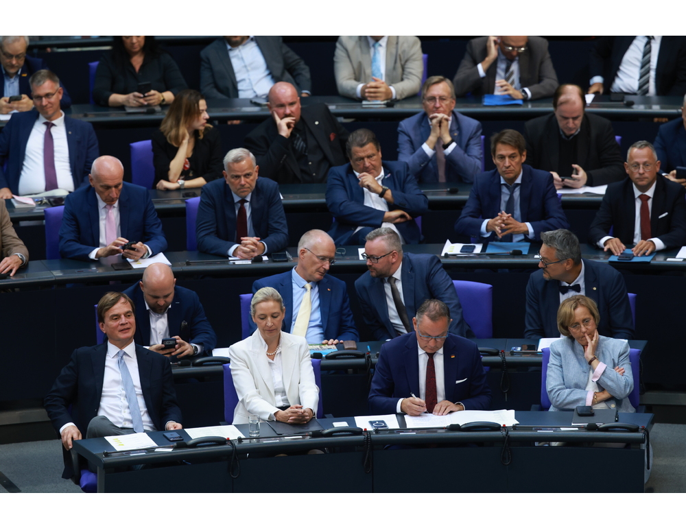 Leader Afd Weidel, elettori hanno chiarito che il governo Cdu-Spd è finito