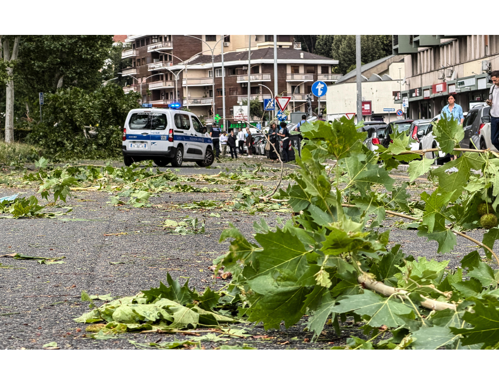 Maltempo: a Roma alberi e rami caduti, pino a fuoco per un fulmine