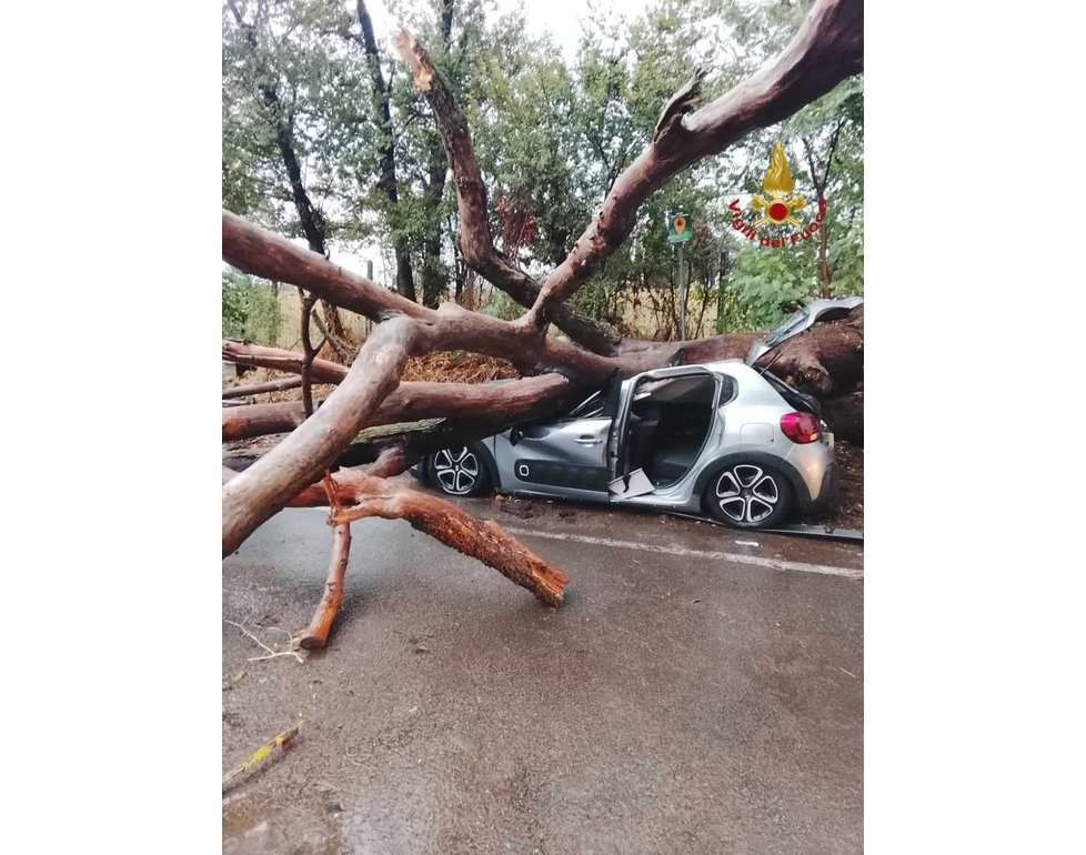 Maltempo: cade albero su un’auto a Roma, un ferito grave