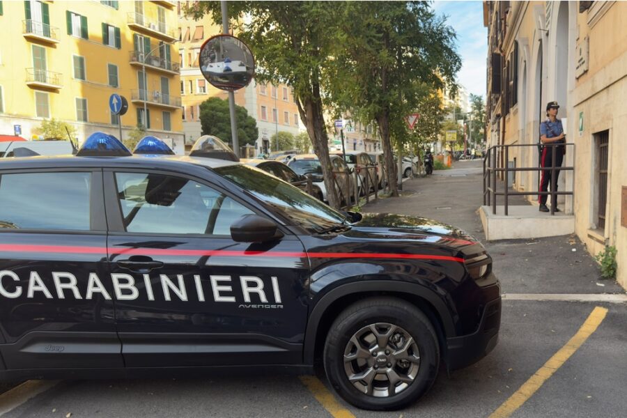 I maltrattamenti documentati dai carabinieri con intercettazioni audio-video