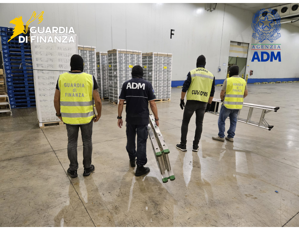 Sequestrati 53 kg di cocaina tra la frutta nel porto di Livorno