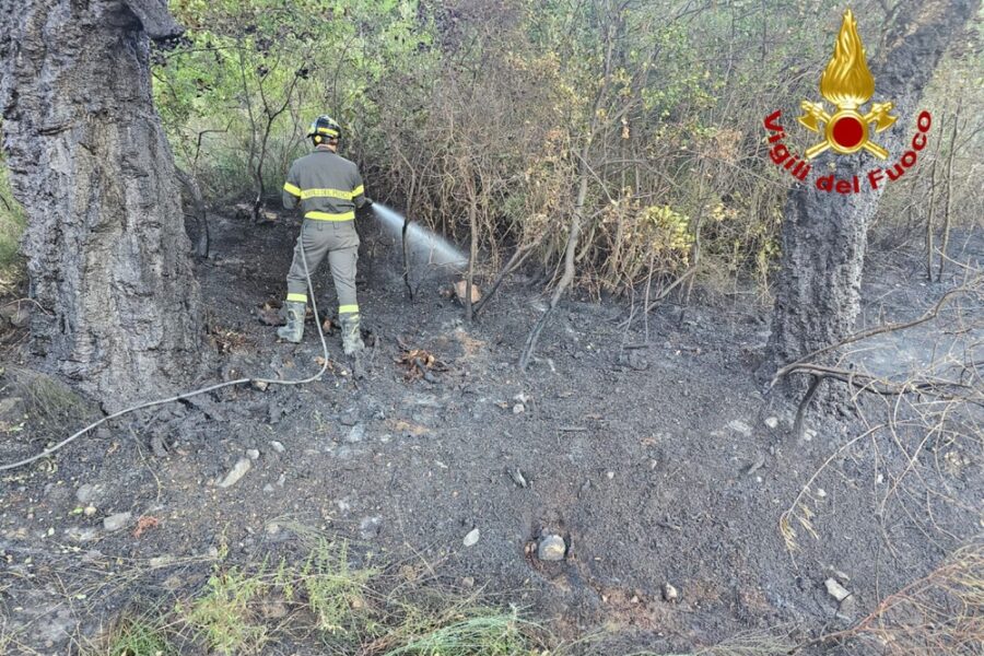 Ancora fiamme ad Arzana