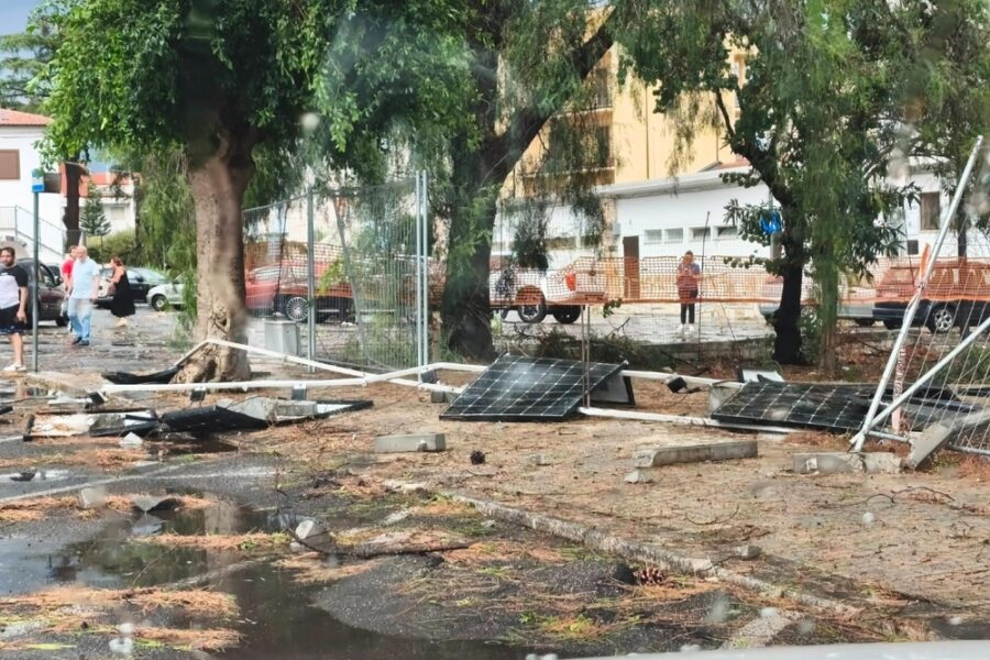 'Spazzati via centinaia di alberi anche secolari con fusti e radici consistenti'