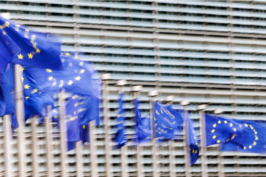 Bruxelles ha 'lunga esperienza di azioni di sostegno agli Stati in caso di necessità'