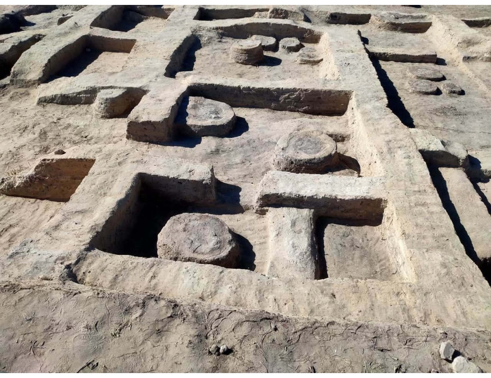 Un cavallo sepolto e la stele di un re rinvenuti vicino ad Alessandria d’Egitto