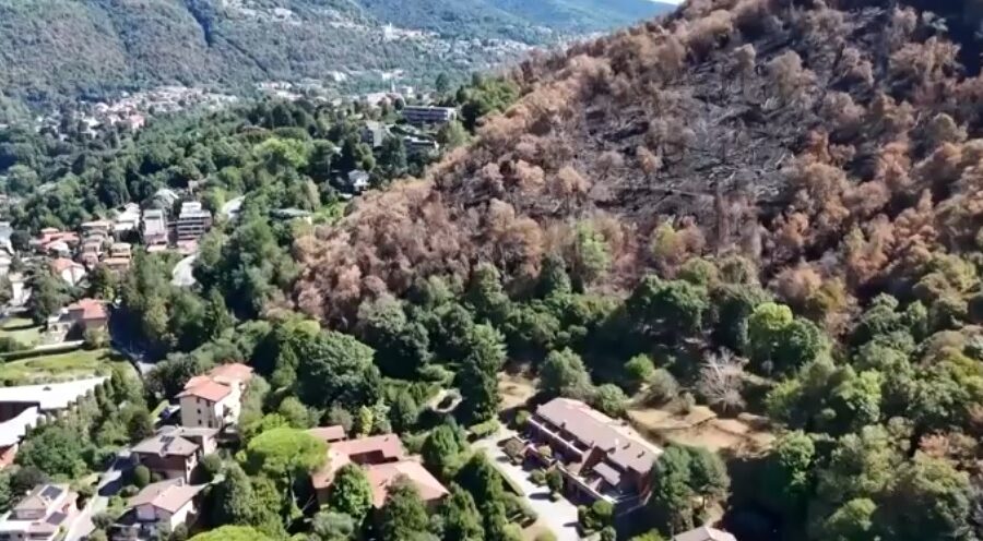 monte Goi dopo l'incendio