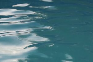 Morta in piscina, nuovo sopralluogo dei carabinieri nella villetta di Erba