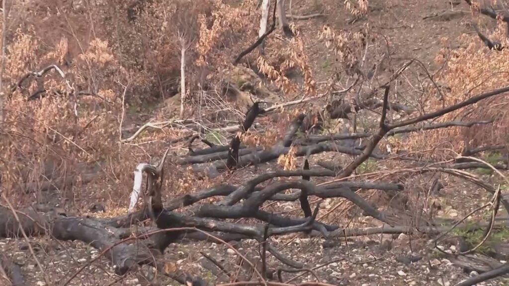 Monte Goi, 7 milioni di euro di lavori dopo l'incendio. Presentato in Regione un primo progetto