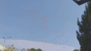 Giovedì a Vighizzolo l’addio a Gabriele Pennati, il 17enne morto in un incidente mercoledì scorso