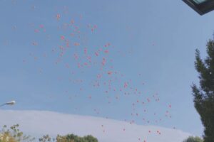 Giovedì a Vighizzolo l’addio a Gabriele Pennati, il 17enne morto in un incidente mercoledì scorso