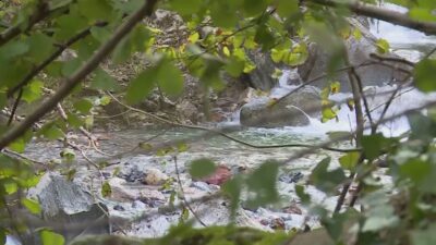 Dispersi nei boschi, poi il tragico epilogo. Ecco chi sono i due cercatori di funghi morti sabato