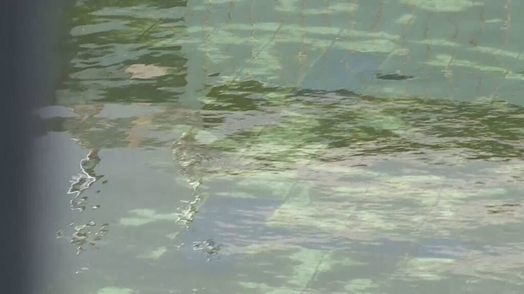 Piscina di viale Geno, i lavori entrano nel vivo. Fino al 3 aprile senso unico alternato