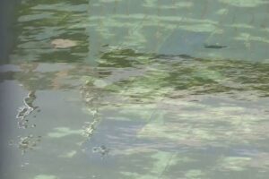 Piscina di viale Geno, i lavori entrano nel vivo. Fino al 3 aprile senso unico alternato