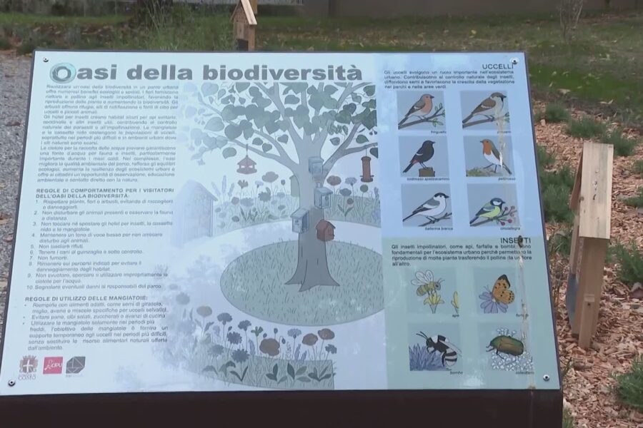 18004 Como dopo i lavori dei mesi scorsi riaperti i giardini pubblici di via Anzani e via Volpati 1792255287