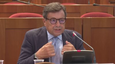 Parapetti del lungolago, Ambrosini risponde a Sertori: “Aria braccio operativo, decidano il modello”