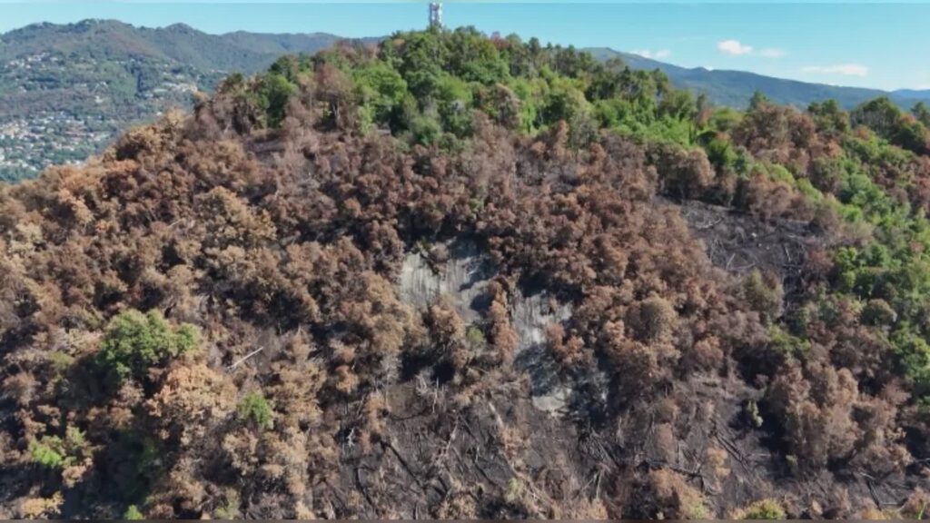 Sicurezza e futuro del Monte Goi, l'appello dei cittadini: 