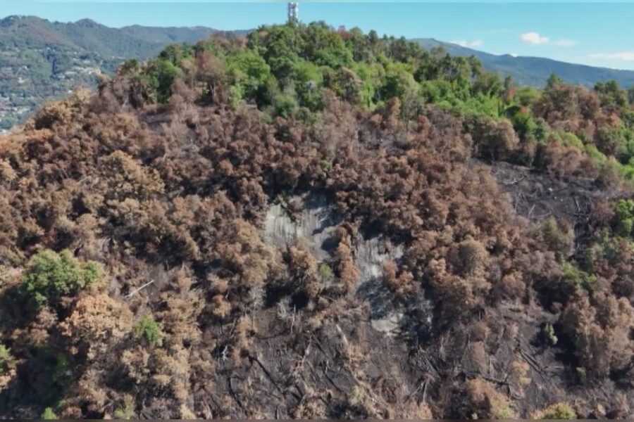 18477 Sicurezza e futuro del Monte Goi lappello dei cittadini Abbiamo paura servono interventi rapidi 1793283746