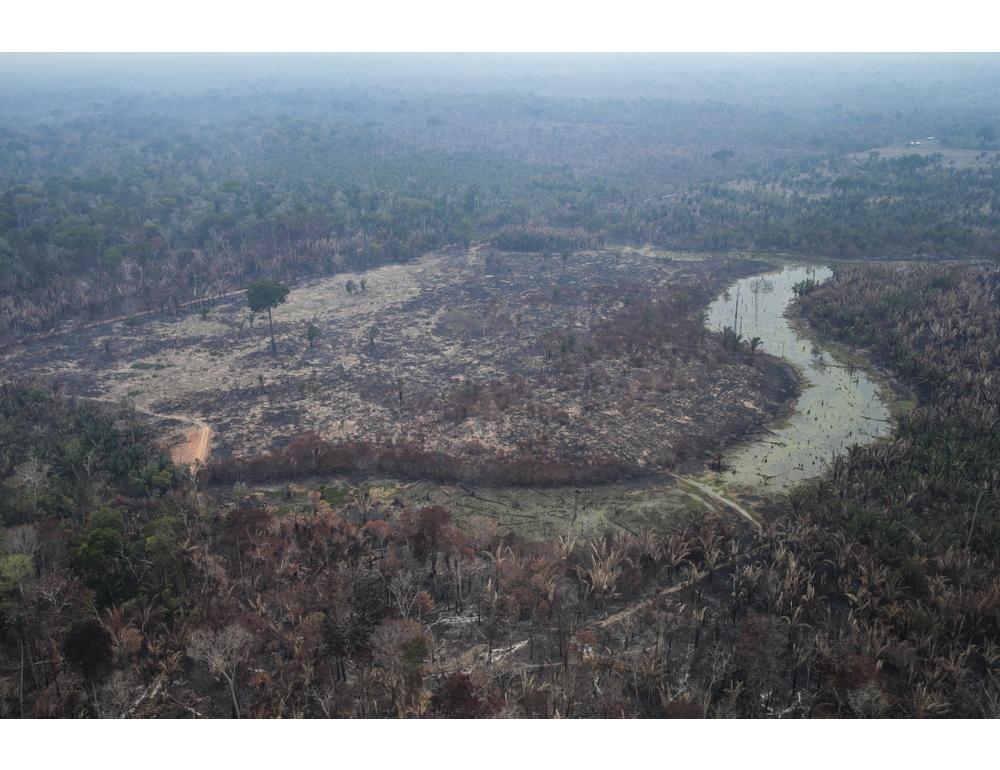 Brasile, deforestazione in Amazzonia ai minimi dal 1988
