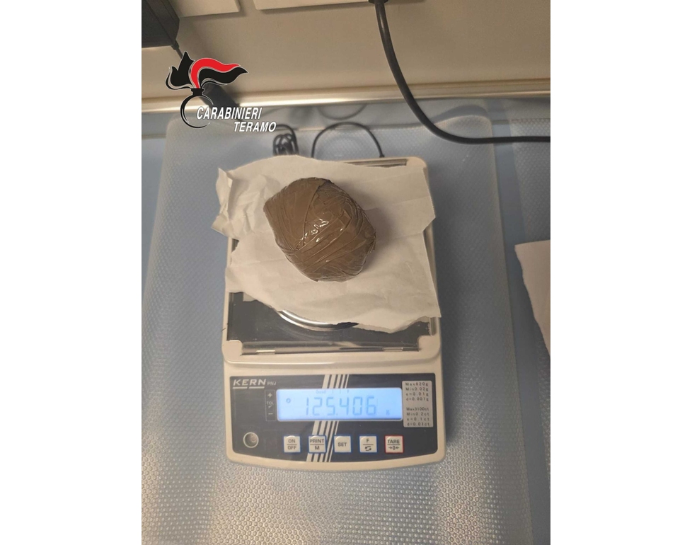 Cane da tartufi scava in bosco del Teramano e trova 270 grammi di cocaina
