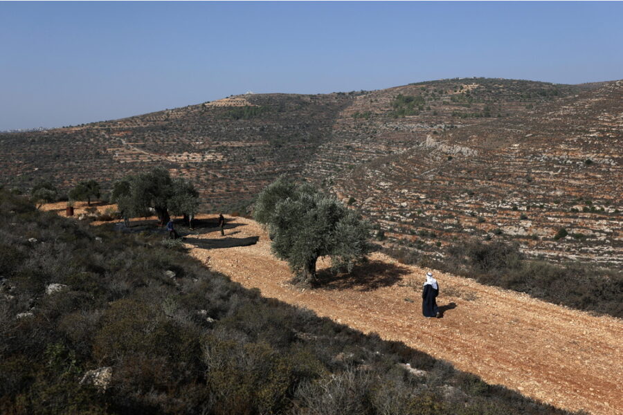 'Erano con palestinesi per la raccolta delle olive