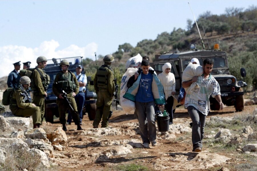 'Accompagnavano agricoltori palestinesi. Ora in stazione di polizia'