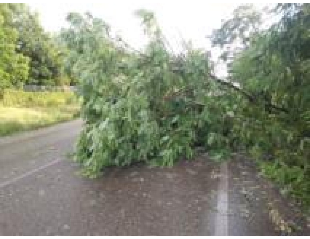 Maltempo, a Viareggio danni a edifici e alberi caduti