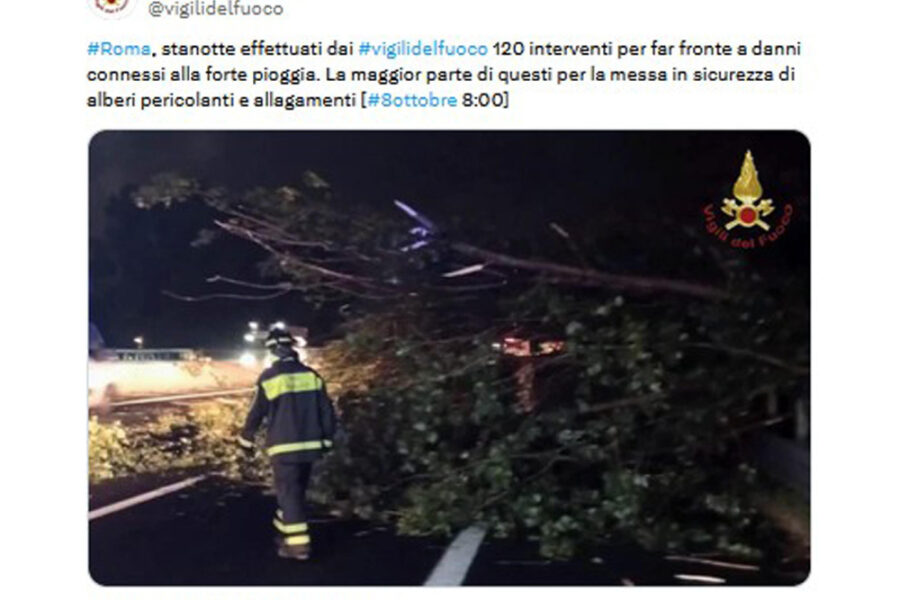 Nella notte un albero crolla su un'auto
