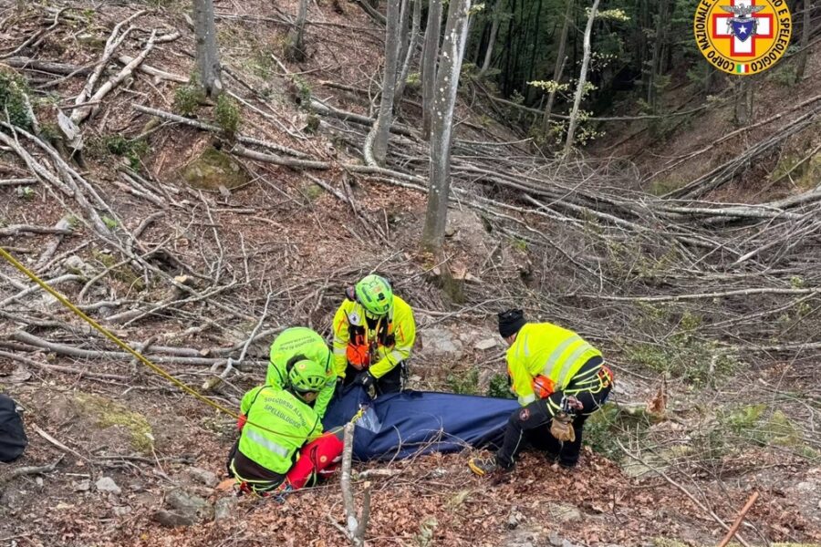 Colpito da un legno mentre stava utilizzando una teleferica