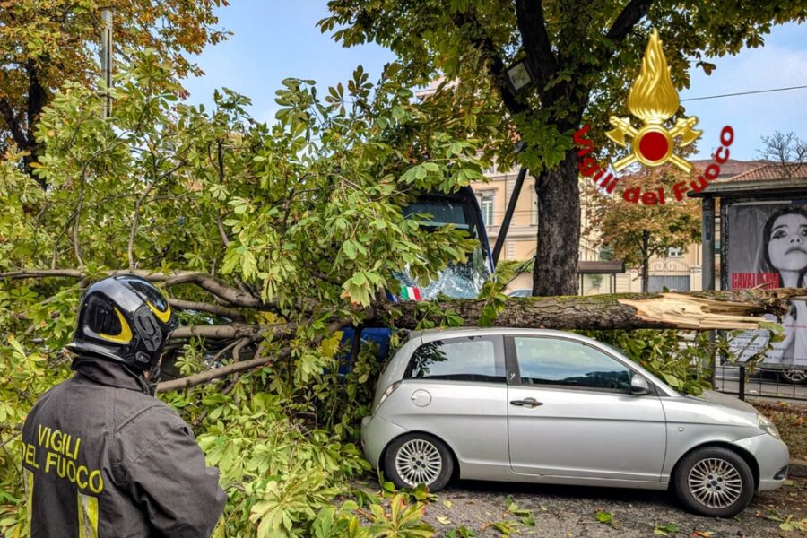 Il convoglio della linea 16 deraglia e finisce contro un albero