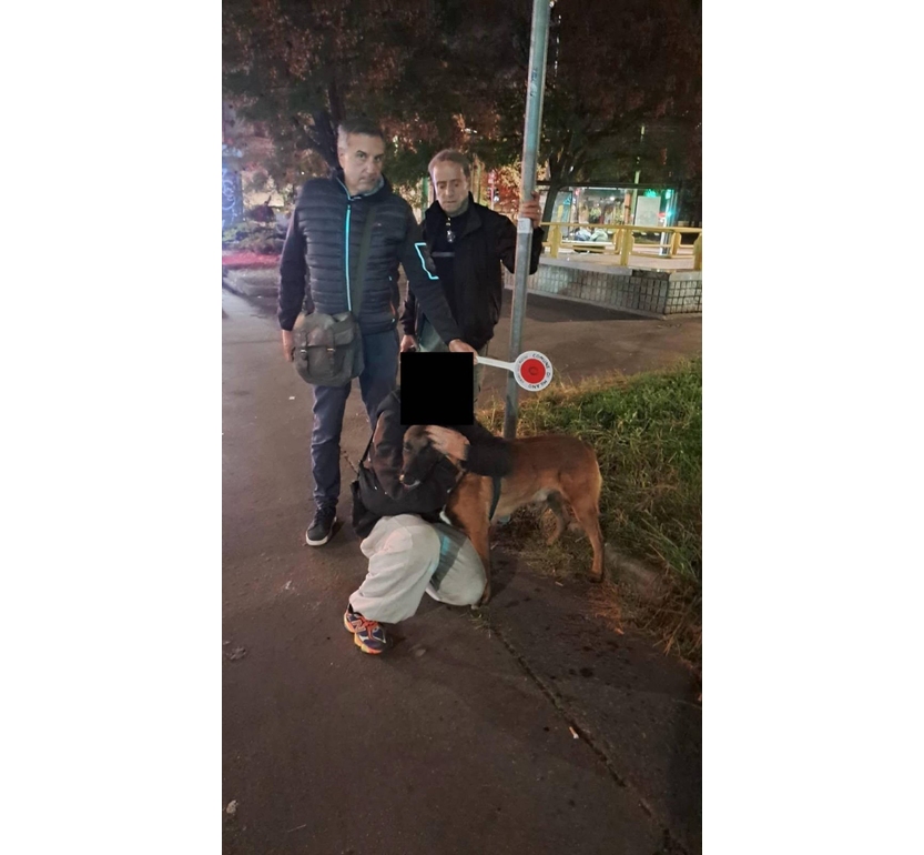 Smarrisce il cane e le chiedono un riscatto, due denunciati a Milano