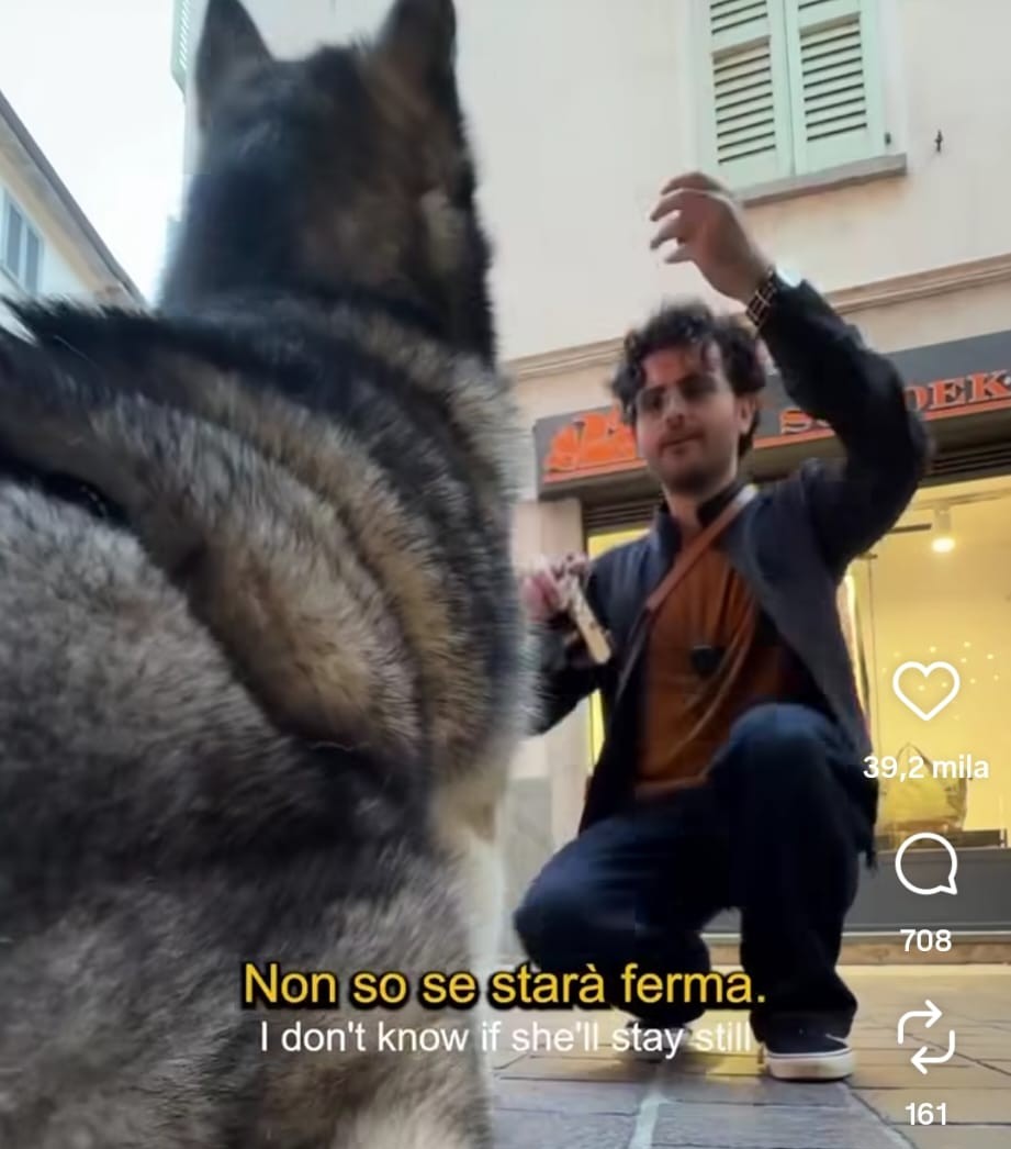 “Posso fare una foto al tuo cane”? Il video di Doggodaily in centro a Como