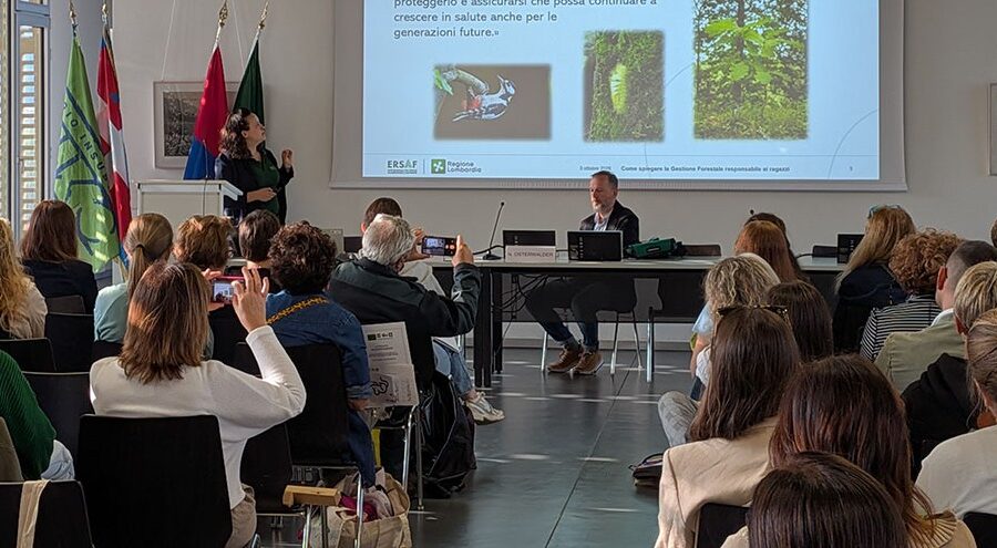 Presentazione web (002)