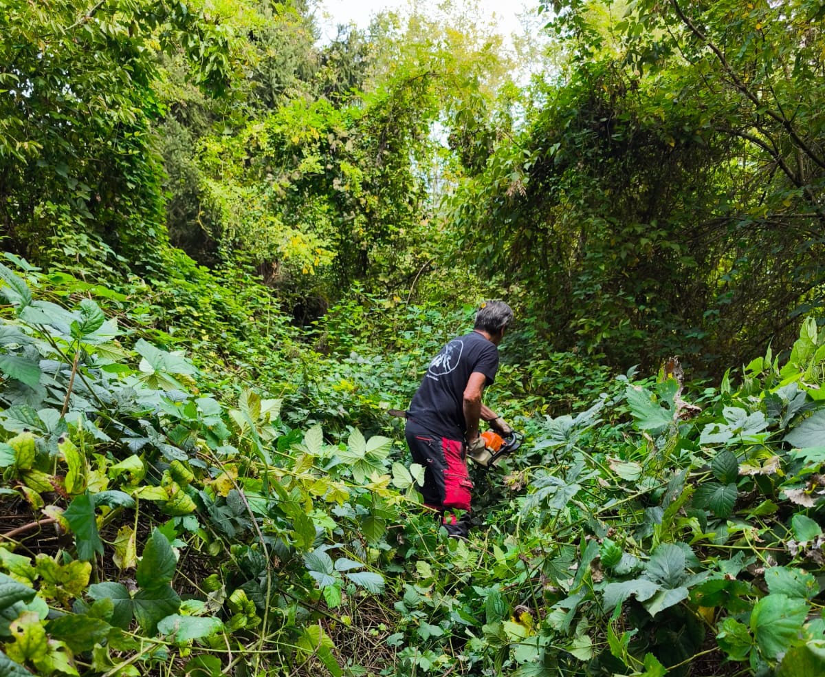 Cadorago, Variante: al via pulizia e taglio del sottobosco per il progetto esecutivo