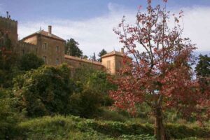 La Diocesi ricorda i martiri d’Algeria a trent’anni dalla morte dei monaci di Tibhirine