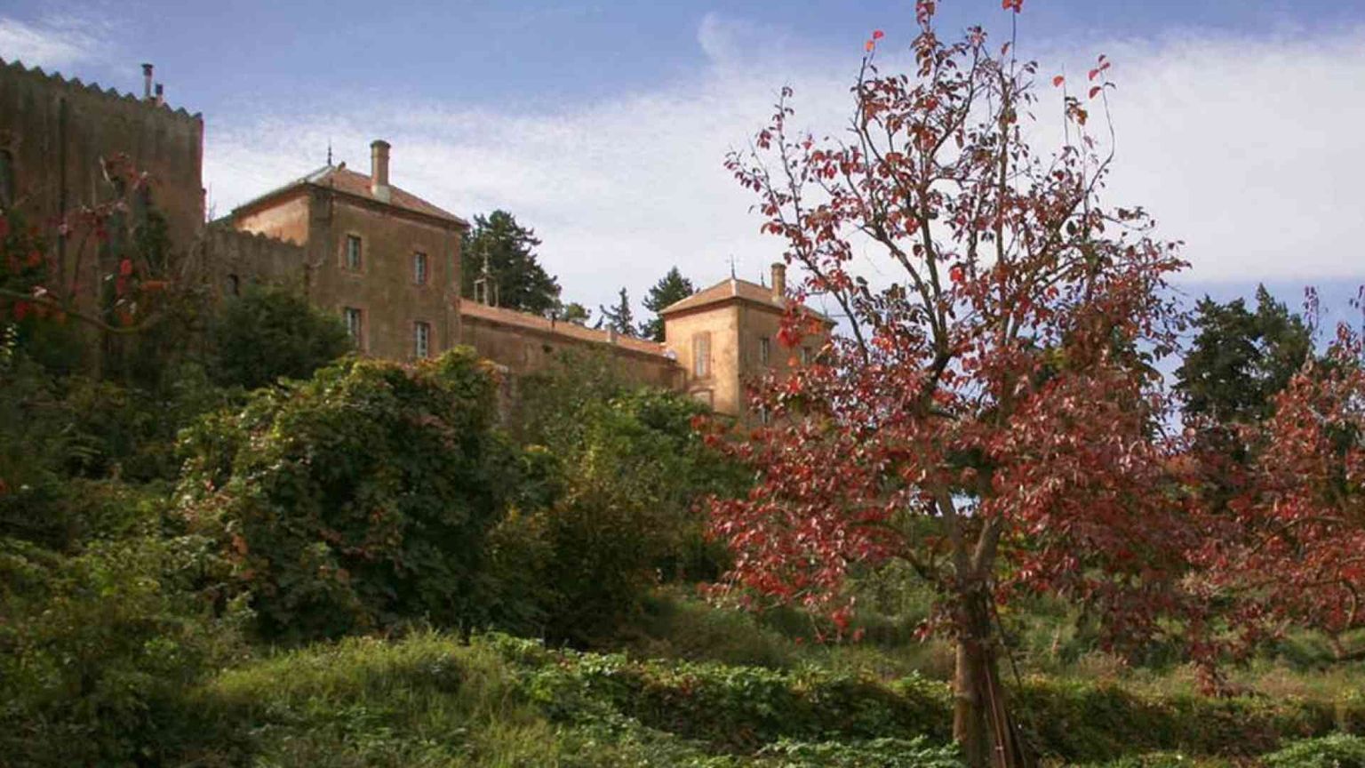 La Diocesi ricorda i martiri d’Algeria a trent’anni dalla morte dei monaci di Tibhirine